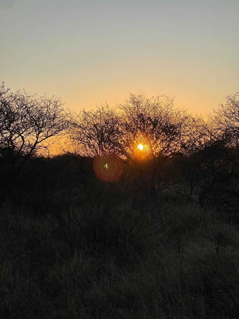 Sunset over the bushveld at Sand River Safari Lodge