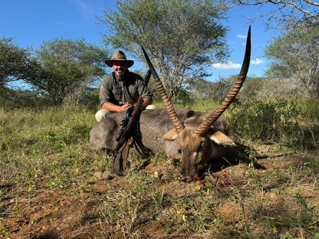 Trophy waterbuck