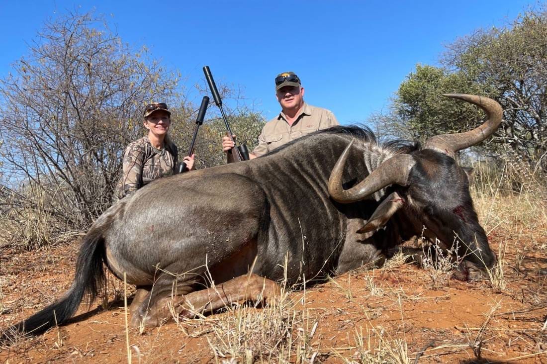 Trophy blue wildebeest