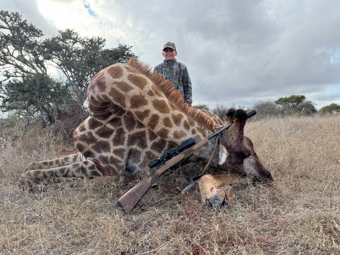 Trophy giraffe hunt