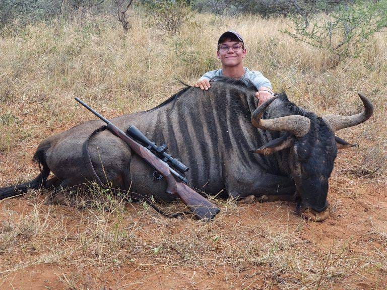 Blue wildebeest trophy