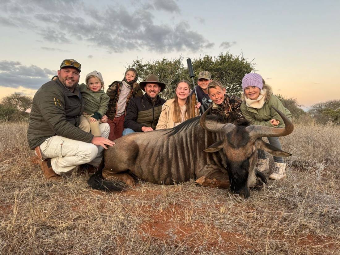 Family hunt with blue wildebeest