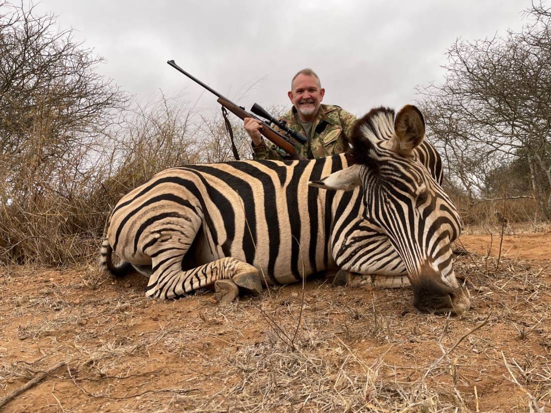 Zebra trophy