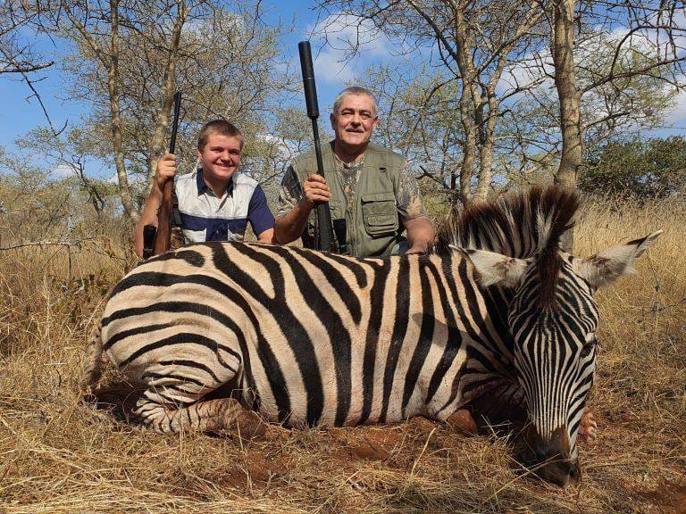 Zebra trophy